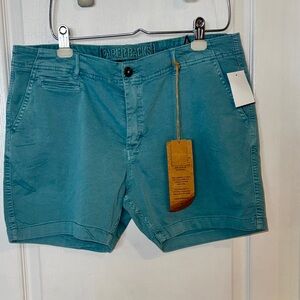 Paperbacks Teal Flat Front Men's Shorts